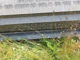 image of grave number 531263